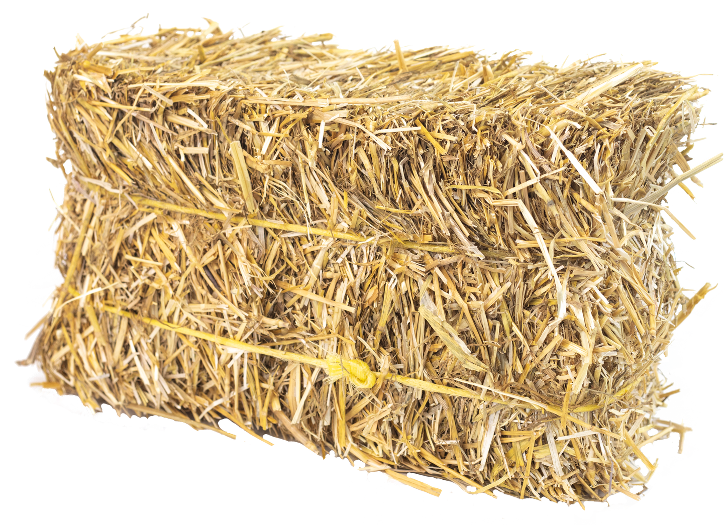 miniBALE (WHOLESALE)
