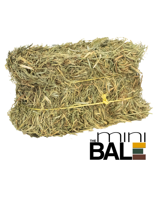 miniBALE_grass hay