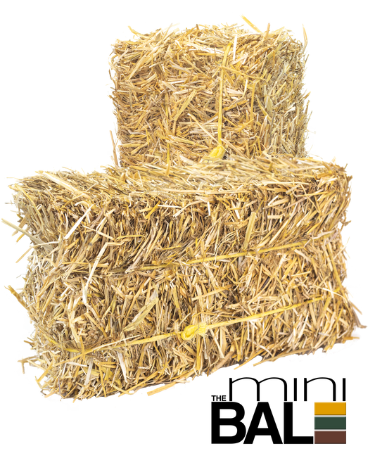 miniBALE (2 Pack)