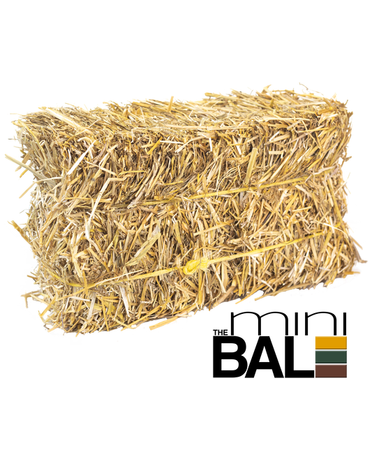 miniBALE