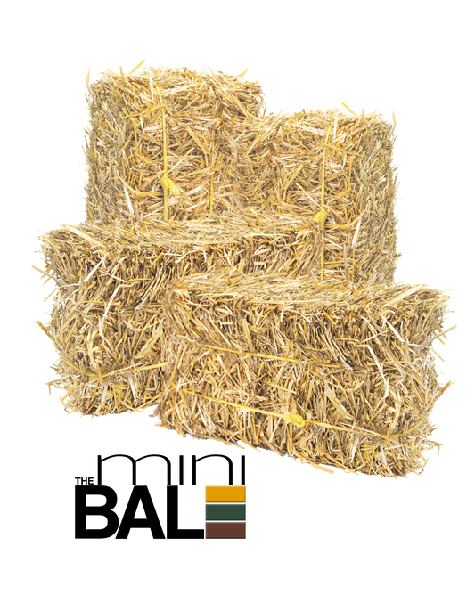 miniBALE (4 Pack)