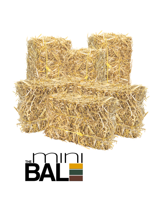 miniBALE (WHOLESALE)